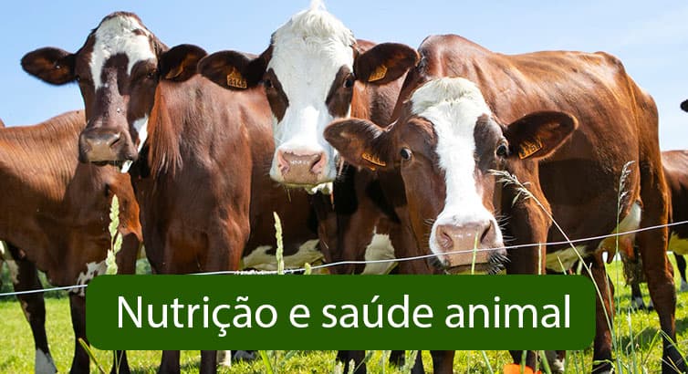 Controle de qualidade